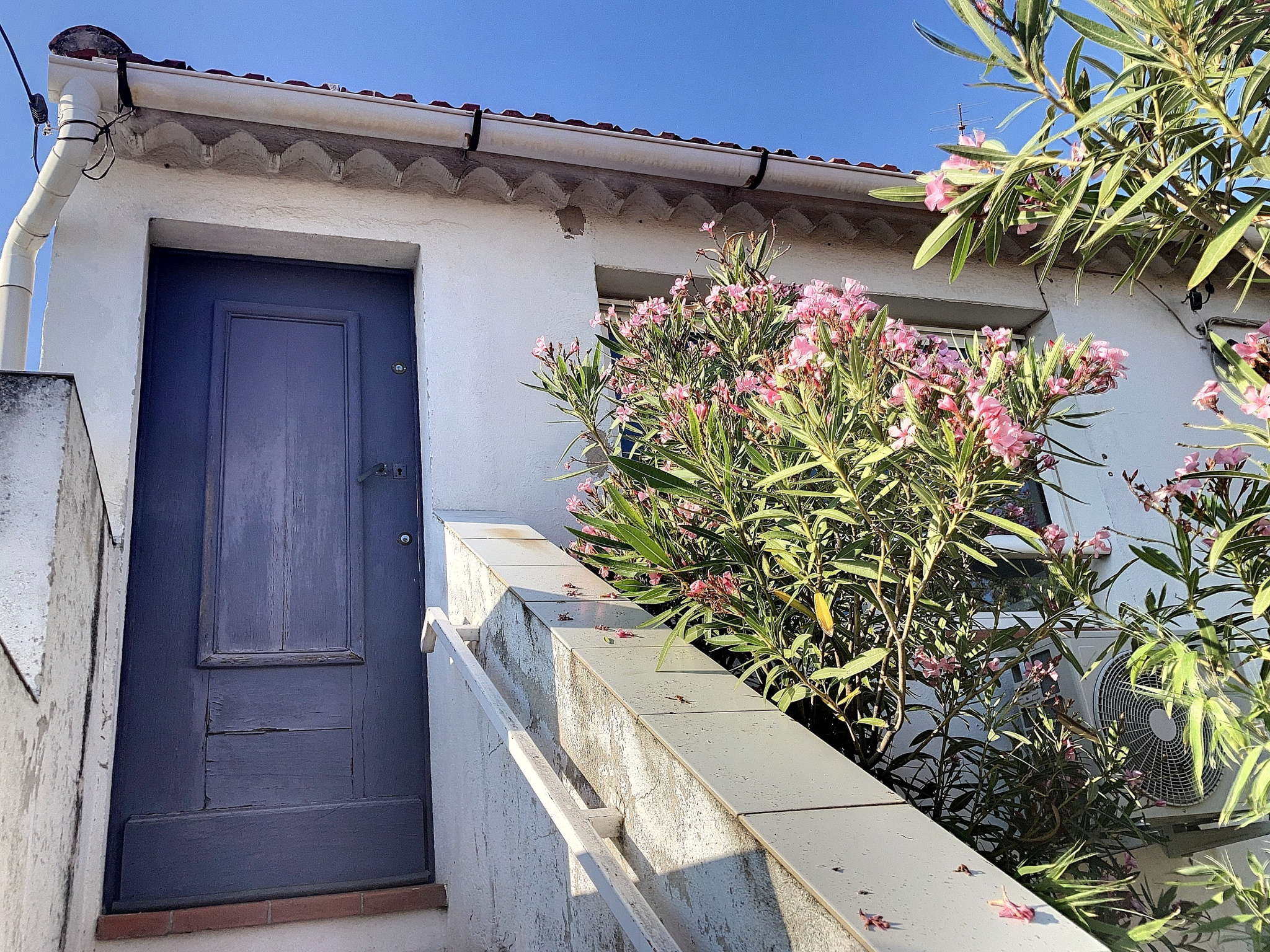 Agence immobilière de The New Agency